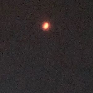 Meet your Posher, Carlos